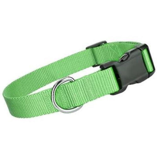 Collar led nylon